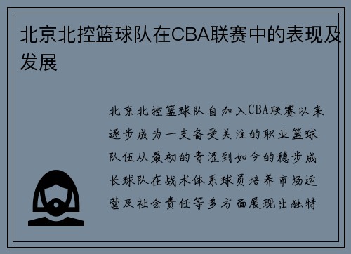 北京北控篮球队在CBA联赛中的表现及发展