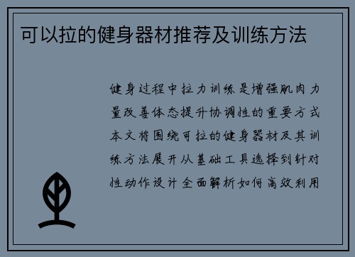 可以拉的健身器材推荐及训练方法